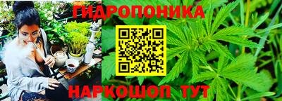 PSILOCYBIN Ефремов